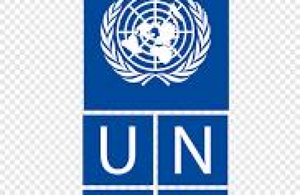 UNDP Name