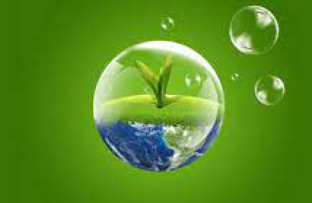 United Nations Environment Program (UNEP) Logo