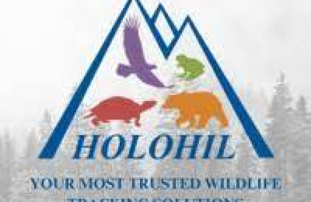 Holohil Systems Logo