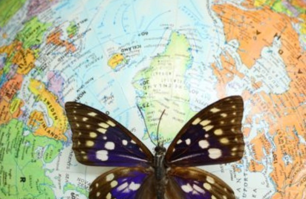 Royal Entomological Society Logo