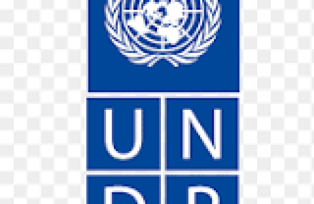 UNDP Name