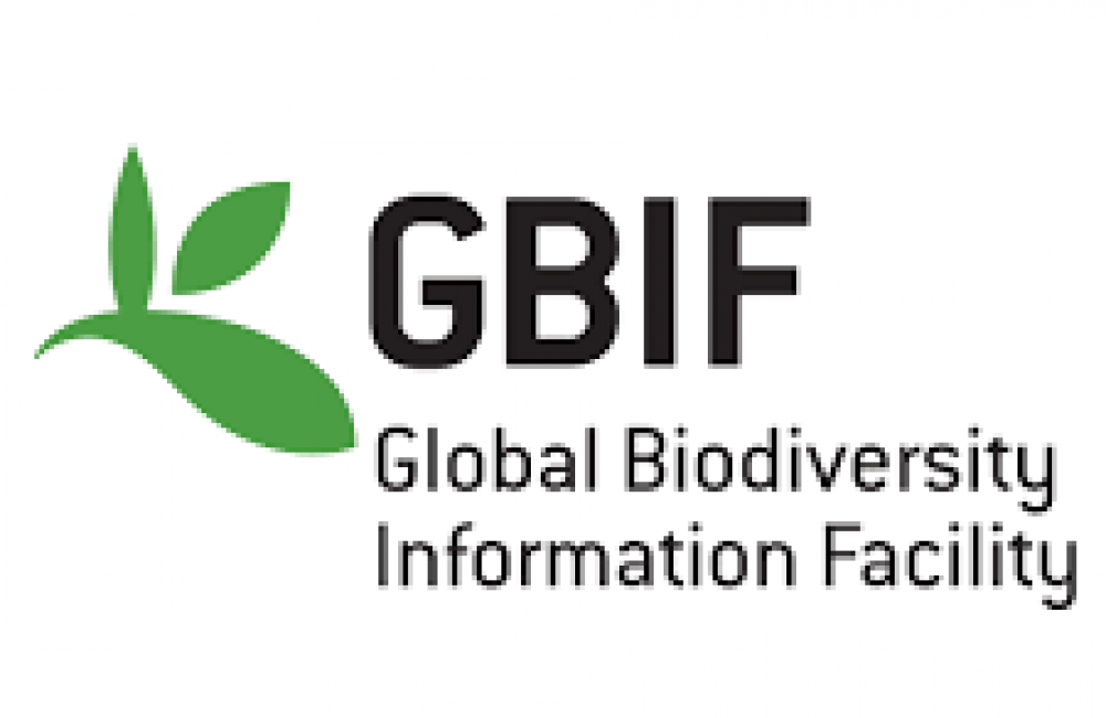 Global Biodiversity Information Facility (GBIF) Name