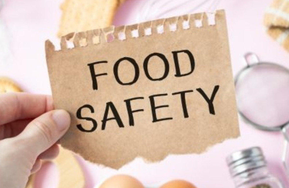 World Food Programme (WFP) Logo