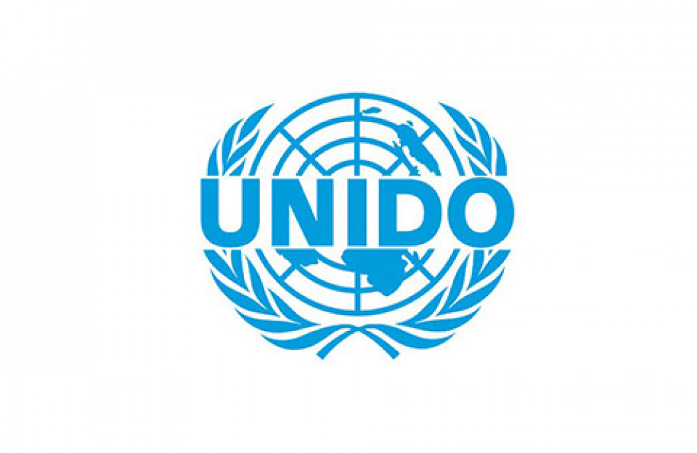 United Nations Industrial Development Organization (UNIDO) Logo