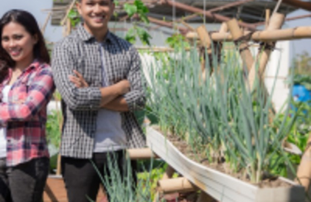 Sustainable Development Solutions Network Name