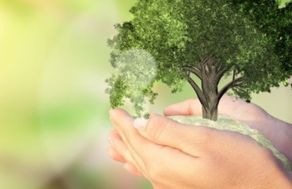 Play for Nature Logo