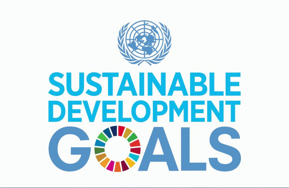 United Nation SDG Logo