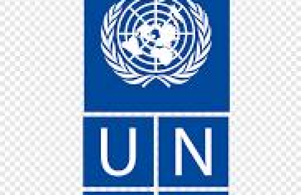 UNDP Name