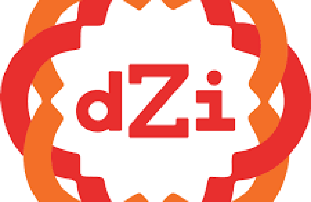 dZi Foundation Logo
