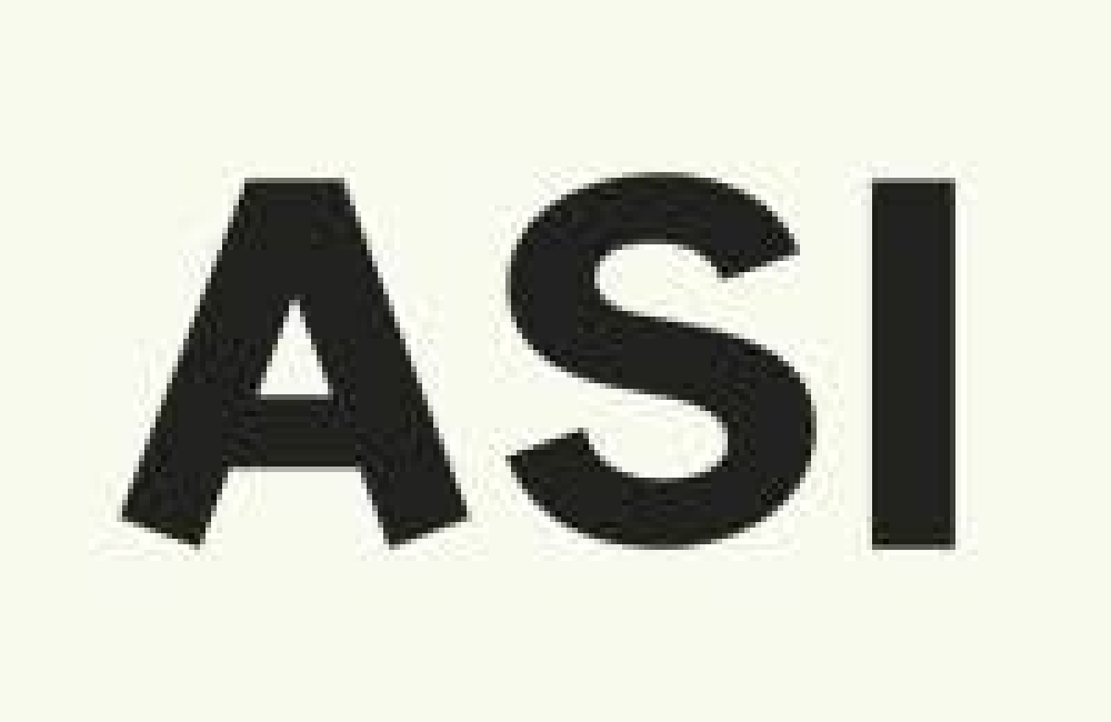 Adam Smith International Logo