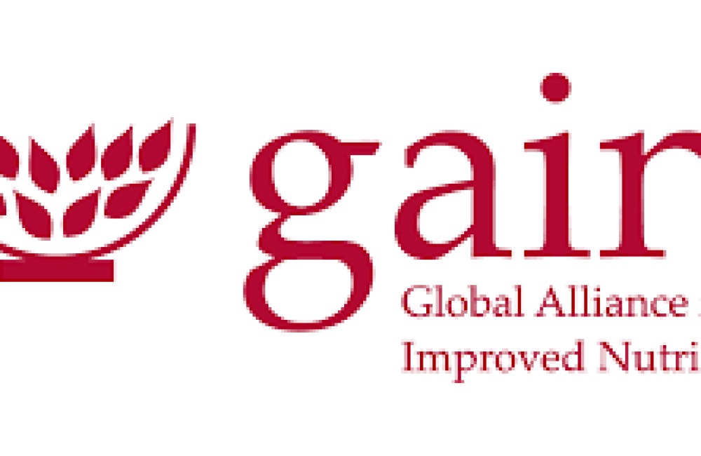 Global Alliance for Improved Nutrition Logo