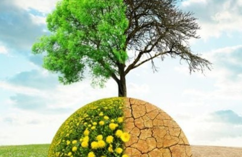 Climate Intervention Environmental Impact Fund Logo