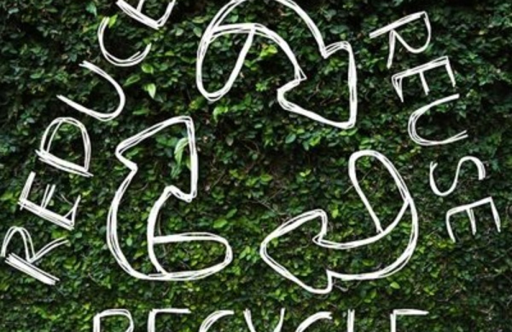 Global Plastic Action Partnership (GPAP) Name