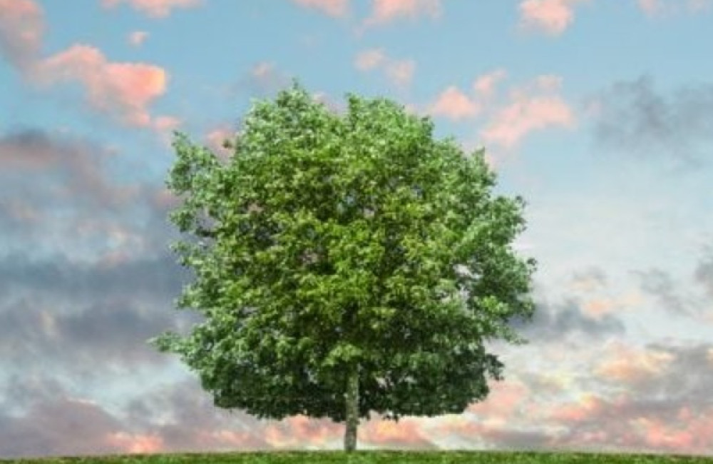 International Centre for Integrated Mountain Development Name