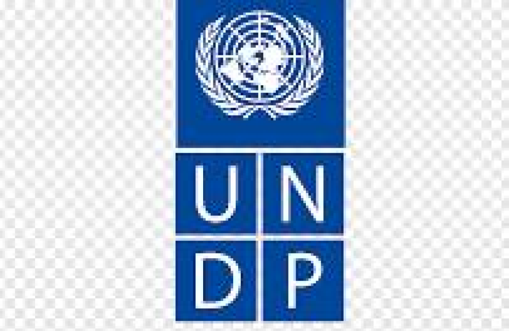 UNDP Name