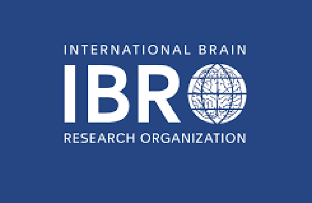 International Brain Research Organization (IBRO) Logo