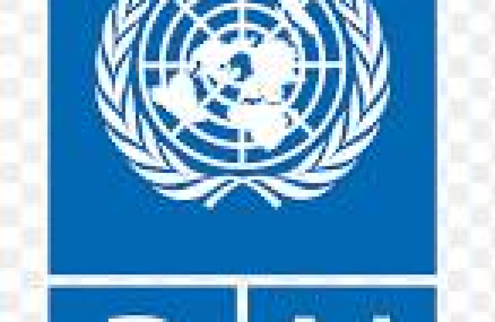 UNDP Name