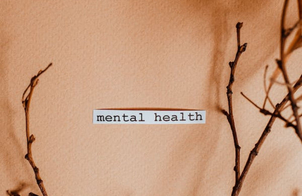 Mental Health & Crisis Support Logo