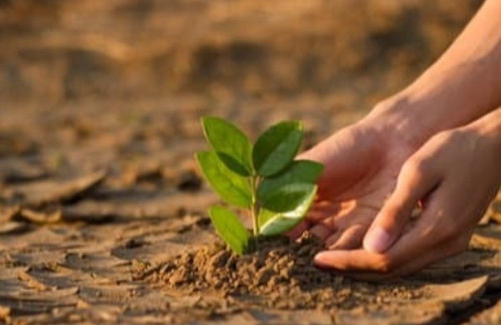 Global Resilience Partnership Logo