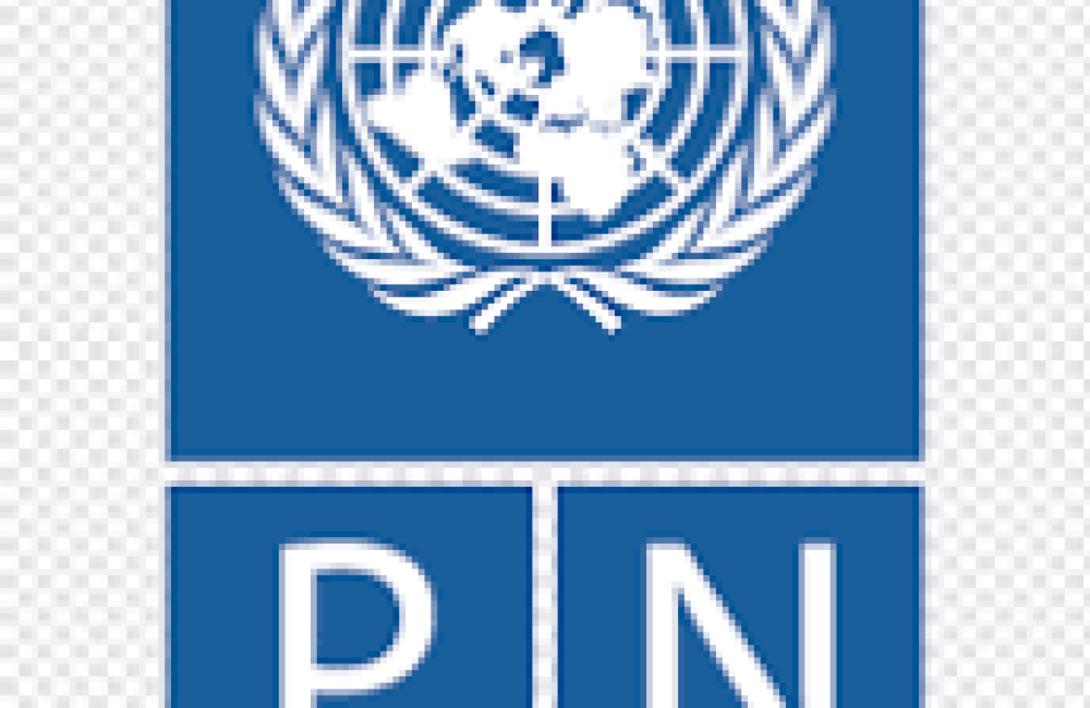 UNDP Name