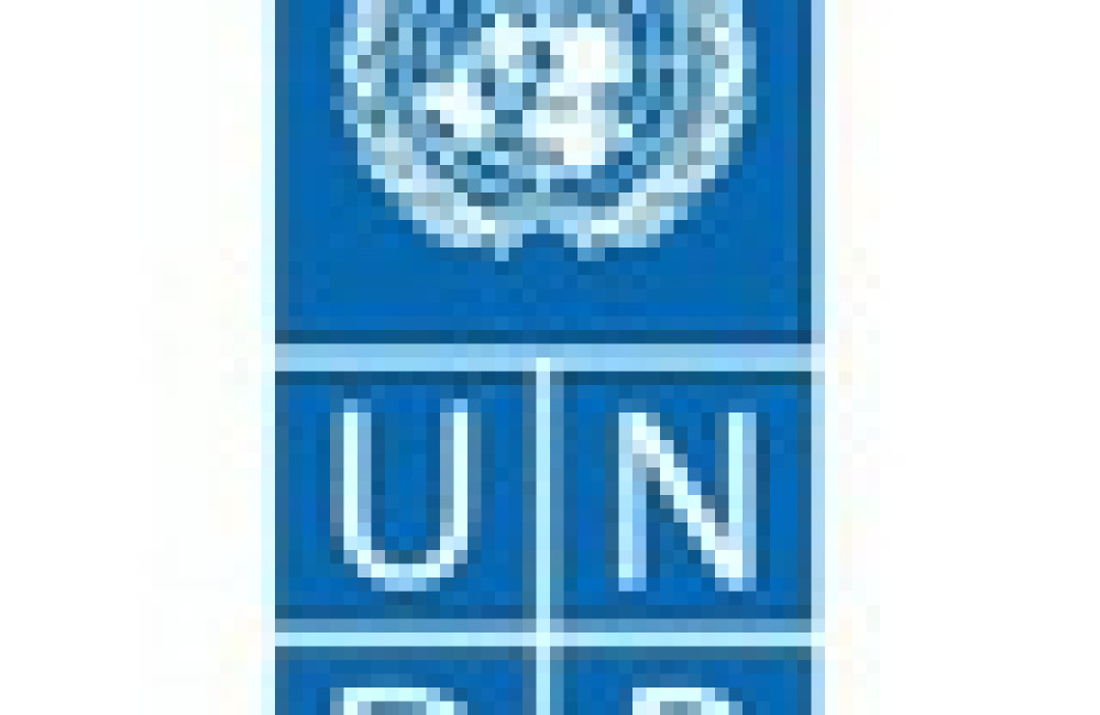 UNDP Procurement Logo