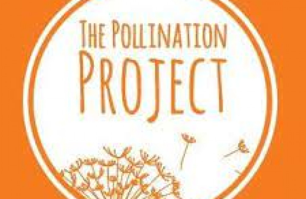 The Pollination Project Name